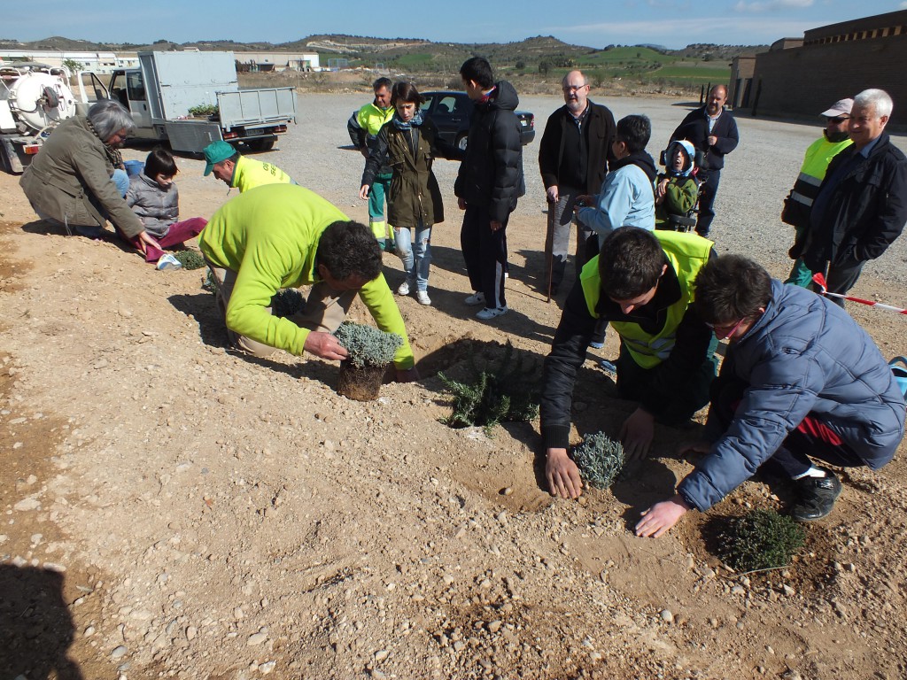 Alumnes de l'Escola Estel de Balaguer (Foto: Aj. Balaguer)