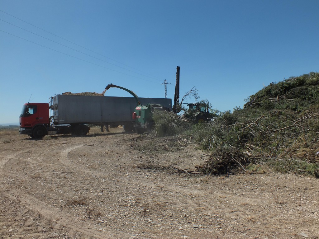 Les trituració de les restes vegetals s'ha fet en una zona propera. (Foto: Aj. Balaguer)
