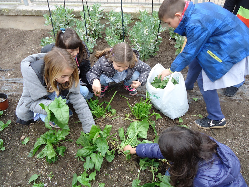 Escola Verda. Hort Gaspar de Portolà