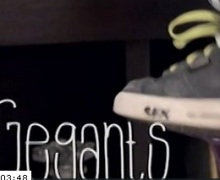 Gegants 7: La castanyada