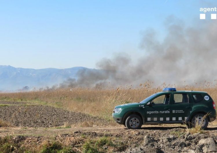 Un incendi forestal afecta una superfície de 2,4ha a Balaguer