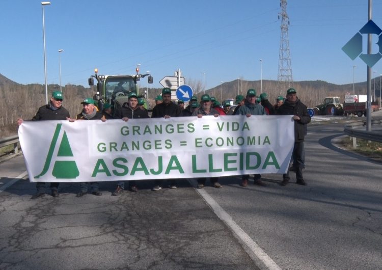 Asaja talla la C-14 a Ponts per denunciar la limitació en l’ampliació o construcció de noves granges i per reivindicar el sector porcí