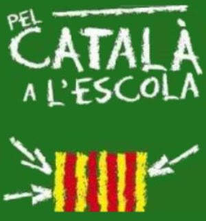 Contra el català, tot s’hi val