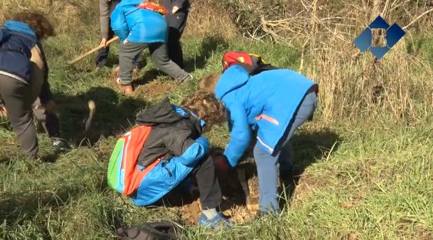 Els escolars de Balaguer repoblen la bultra de les Franqueses