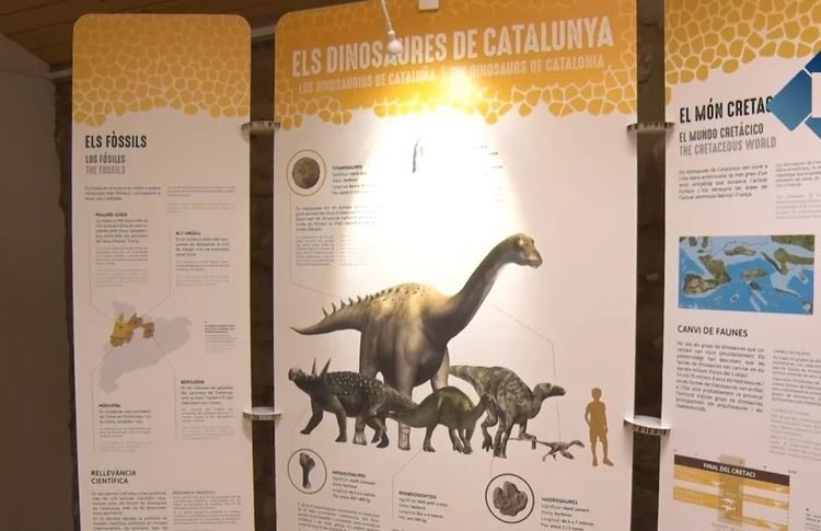 Camarasa acull una mostra sobre les descobertes de dinosaures a Catalunya