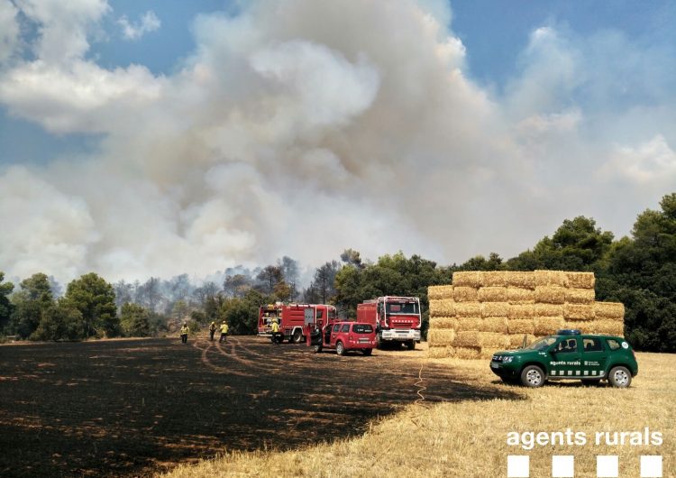 Incendi forestal a Artesa de Segre