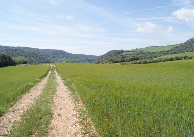 Val més fer camins que caminots