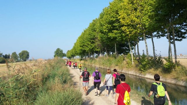 La 2a marxa de l’Esparver Cendrós de Bellcaire d’Urgell es va estrenar al projecte Marxa.Cat amb 150 participants