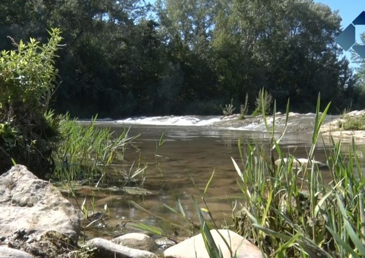 Nous tallers del Centre d’Interpretació de l’Or del Segre per aquest estiu