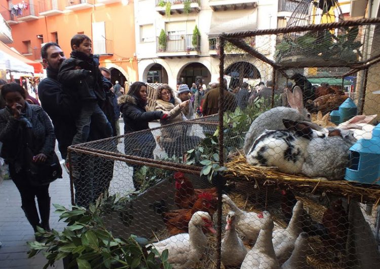 La fira de Santa Llúcia reunirà un centenar de parades al centre històric de Balaguer el proper 5 de desembre