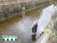 Agents Rurals actuen contra la pesca il•legal al Canal d’Urgell i denuncien un pescador a Preixens