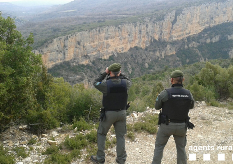 Els Agents Rurals denuncien un veí d’Os de Balaguer per caçar en una zona de seguretat