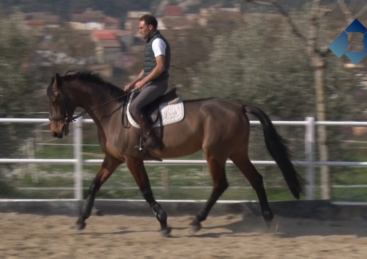 Albert Hermoso, 3r al CIC3* del XV Internacional de Barroca d’Alva a Portugal