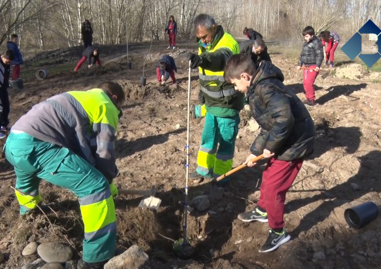 Prop de 250 escolars balaguerins participen a “La plantada de l’arbre a les Franqueses”