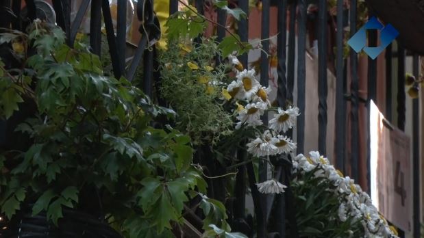 Aquest divendres finalitza el primer concurs de ‘Flors als balcons’ al centre històric de Balaguer en el marc del projecte Viles Florides