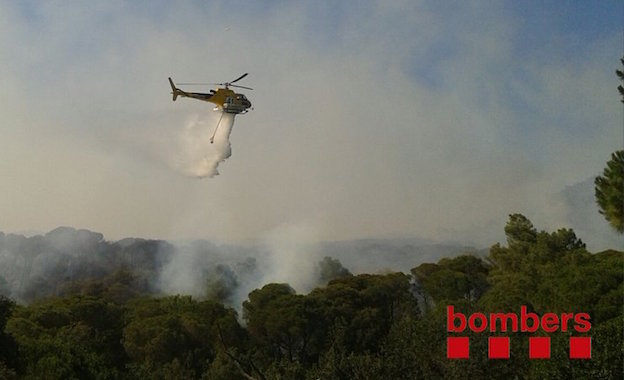 Aquest dijous comença la prohibició de fer foc al bosc