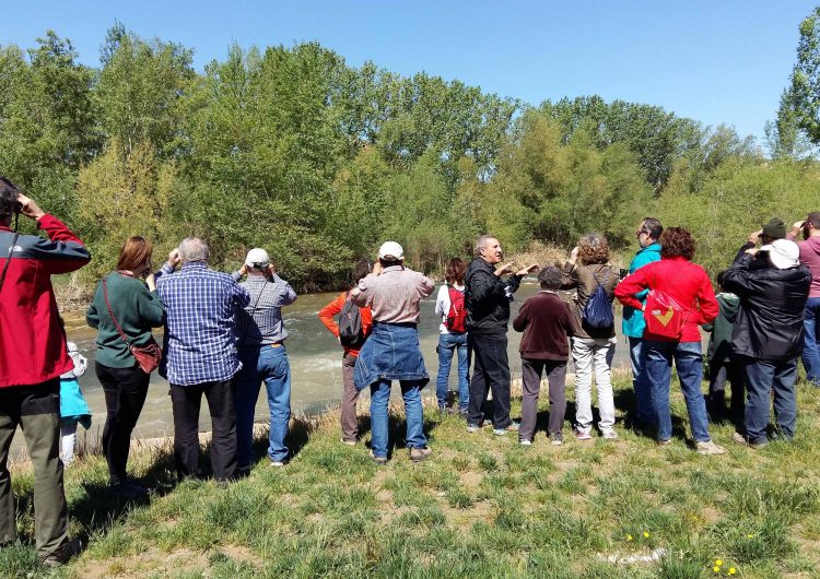 Més d’una cinquantena de persones participen de la ruta guiada “Els ocells secrets de la Bultra”