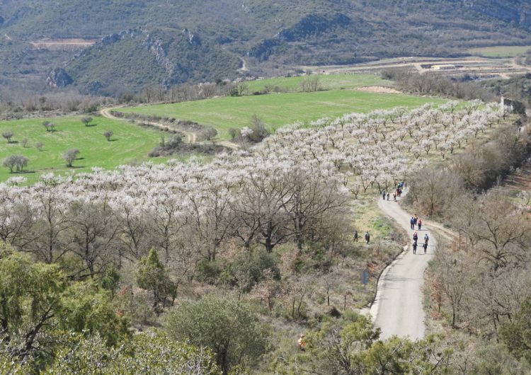 La Diputació de Lleida rebrà més de quatre milions d’euros de fons europeus per promoure camins i rutes al territori