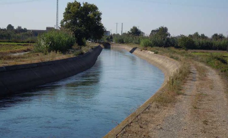 Troben un home mort al canal de Balaguer