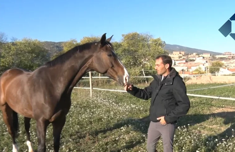 Albert Hermoso guanya la Copa del Rei 2016 amb Nereo CP