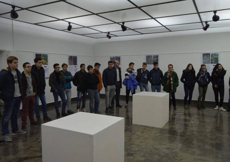 La Sala d’Exposicions de l’ajuntament acull la mostra “Els sòls i la biodiversitat forestal” en motiu de la Setmana de la Ciència