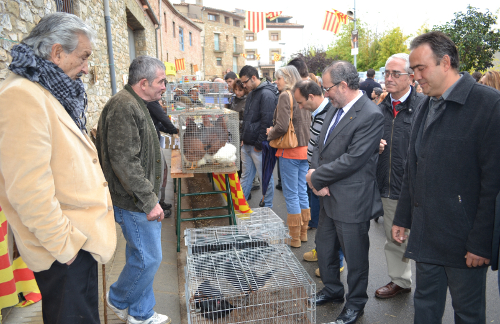 La Diputació col·laborarà amb el futur espai dedicat als fòssils del Montsec de Vilanova de Meià