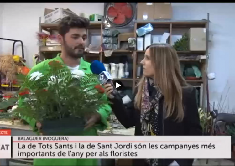 Connecti.cat: Flors per Tots Sants