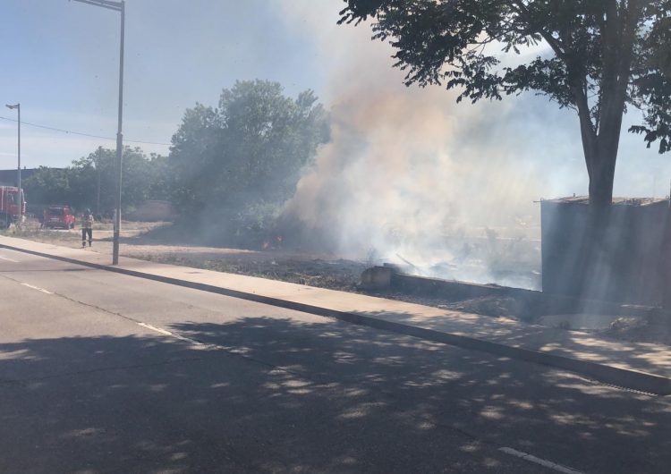 Els Bombers treballen en un incendi de vegetació a Balaguer