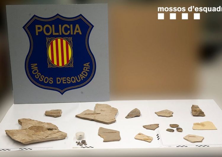 Els Mossos recuperen 5 fòssils robats d’una pedrera de Vilanova de Meià