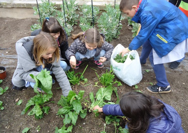 L’Escola Gaspar de Portolà desenvolupa un Projecte Educatiu per la Sostenibilitat