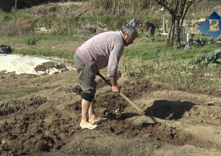 Una desena de famílies participen a la 9a temporada del porjecte ‘Cultiva’t Horts Comunitaris’