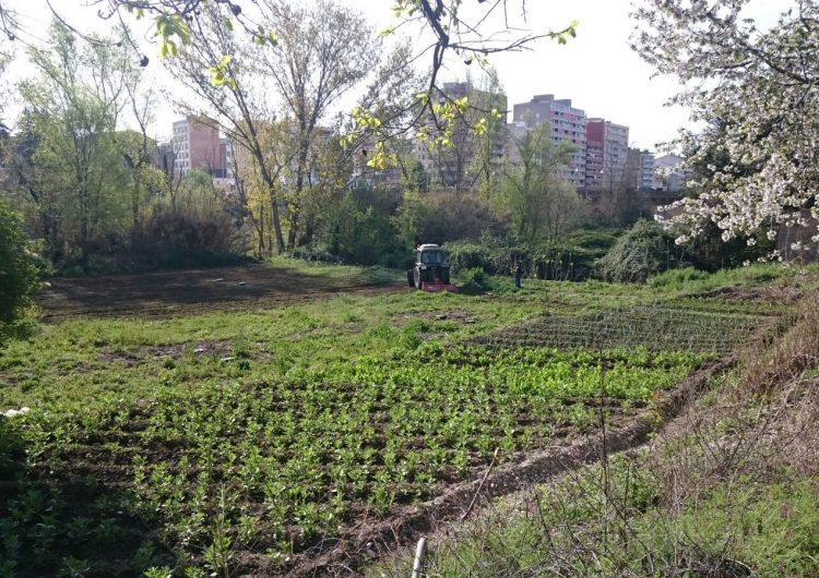 Slow Food Terres de Lleida posa en marxa horts urbans a Balaguer