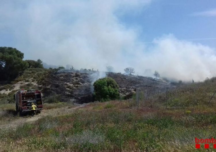 Un incendi a Sant Jordi de Muller crema 2.500 m2 de superfície forestal