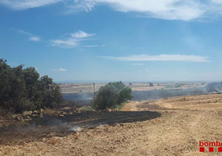 Un incendi crema 7,7 ha de vegetació agrícola a Castelló de Farfanya