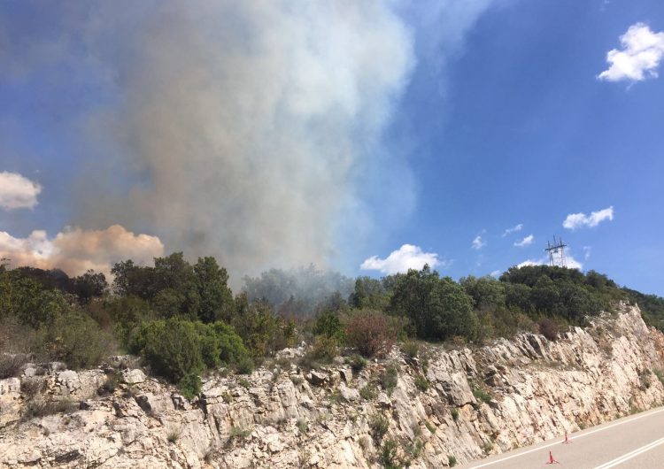 Un incendi crema 1,3 hectàrees d’alzines a Camarasa