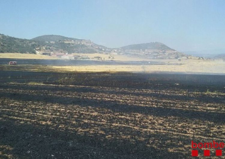 Un incendi crema 14 hectàrees de conreus a Foradada