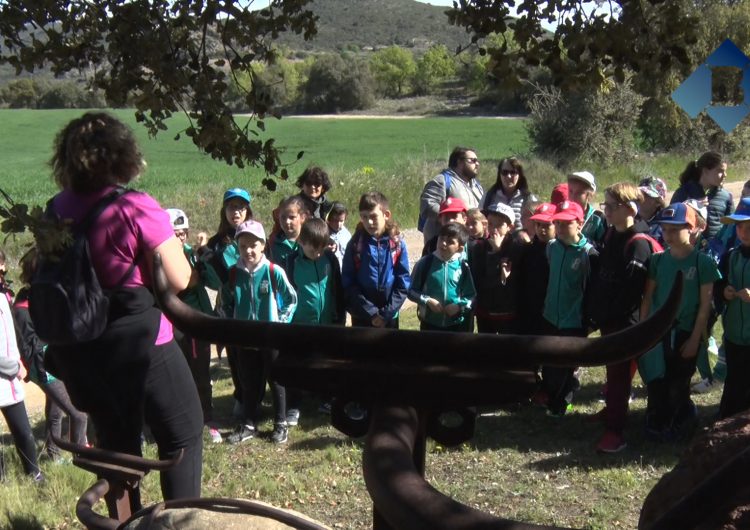 Els alumnes de l’Escola Els Planells descobreixen les obres ‘Land Art’ de Foradada