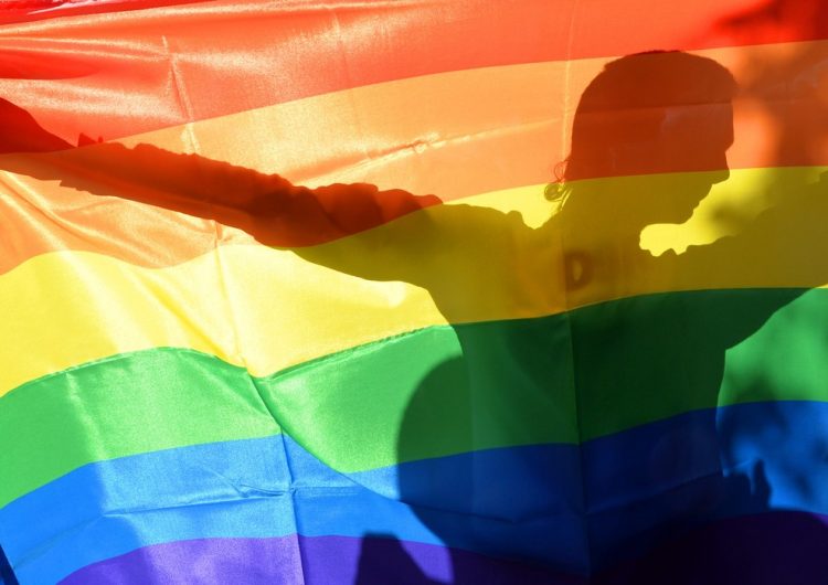 El Consell Comarcal de la Noguera crea un servei d’atenció integral per a persones LGBTI de la comarca