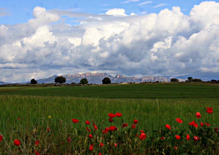 S’obren les inscripcions de la 1a Marxa popular del Baix Sió del diumenge 24 d’abril