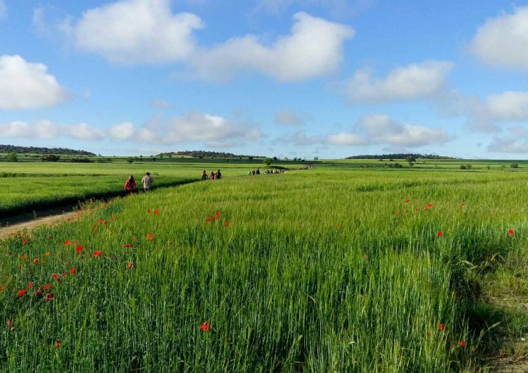 La Marxa popular del Baix Sió s’estrena aplegant més de 300 participants