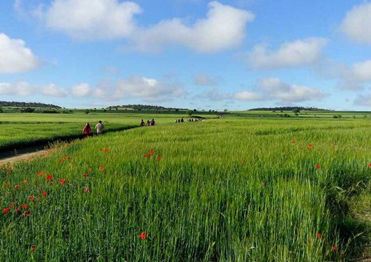 La 2a Marxa Popular del Baix Sió obre inscripcions