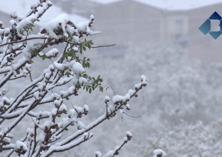 La neu emblanquina la Noguera