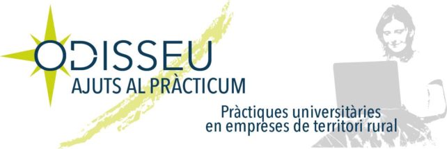 Oberta la convocatòria 2019 per a empreses del programa d’Ajuts al Pràcticum d’Odisseu
