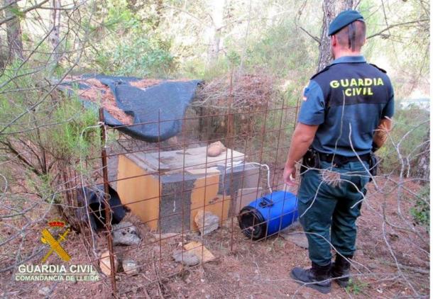 Detecten dues gàbies-trampa il·legals a Tragó de Noguera