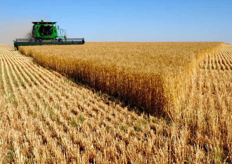 Brussel·les planteja retallades als fons de cohesió i a la política agrària comuna