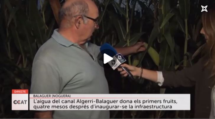 Connecti.cat: L’aigua de l’Algerri-Balaguer dona els primers fruits