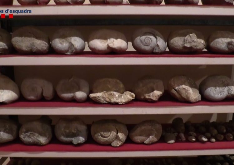 Els Mossos recuperen 393 conjunts arqueològics de jaciments espoliats amb unes 20.000 peces d’alt interès científic