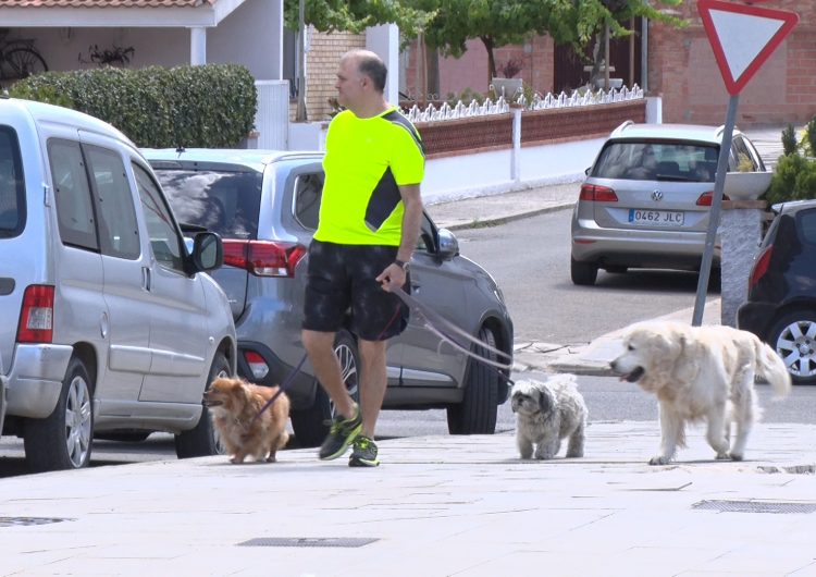 Consells per evitar l’estrès de les mascotes provocat pels petards