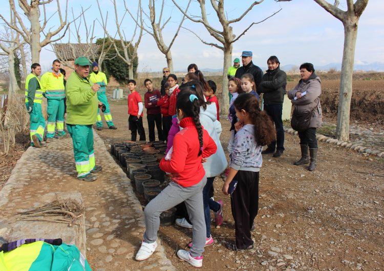 Els alumnes de primària dels centres educatius de Balaguer, fan la tradicional plantada d’arbres a la zona del Monestir de les Franqueses