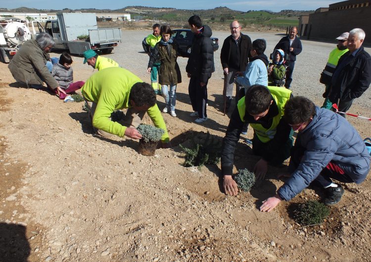 Els escolars de Balaguer poblen amb flora autòctona els voltants del cementiri